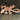 Lajosi Copper Lizard Bag Tag - Full Size